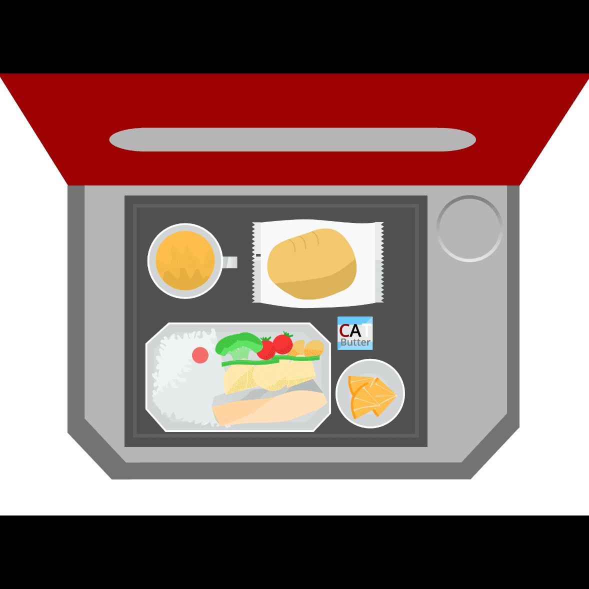 飛行機のテーブルの上に、鮭やパン、ご飯などが乗った機内食のプレートが置かれている。