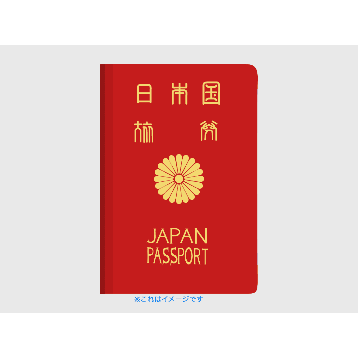 パスポートのベクター風イラスト。